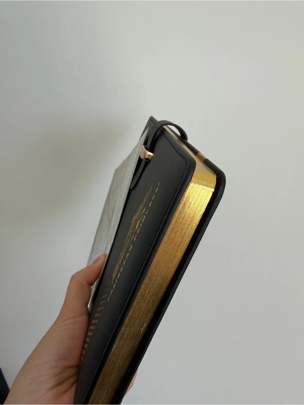 CARIBBEAN PRINCESS  Black Faux Leather Travel Journal
